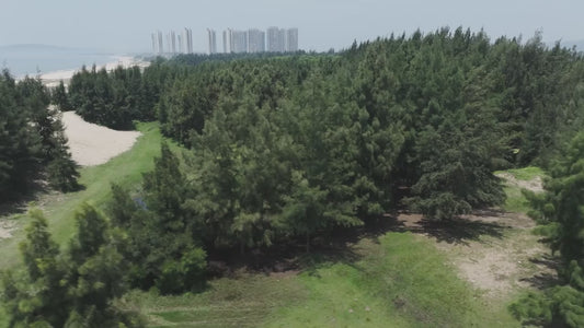 GPS Drone S181 Drone Brushless One-Key Return Intelligent Obstacle Avoidance Quadcopter Remote Control